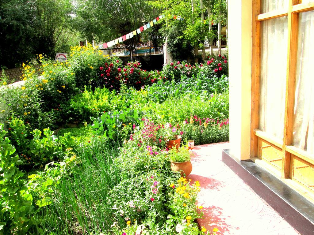 New Moon Guest House Leh Exterior foto