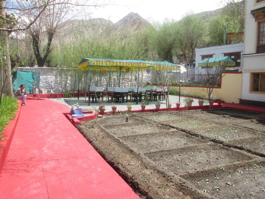New Moon Guest House Leh Exterior foto